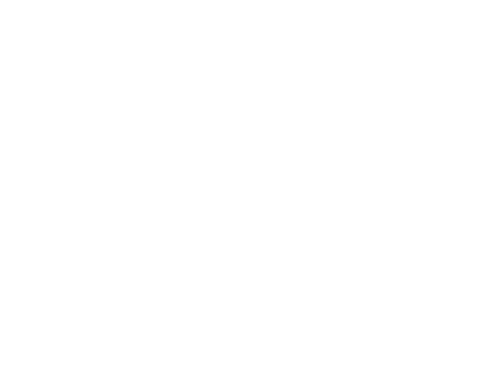 SAAE
